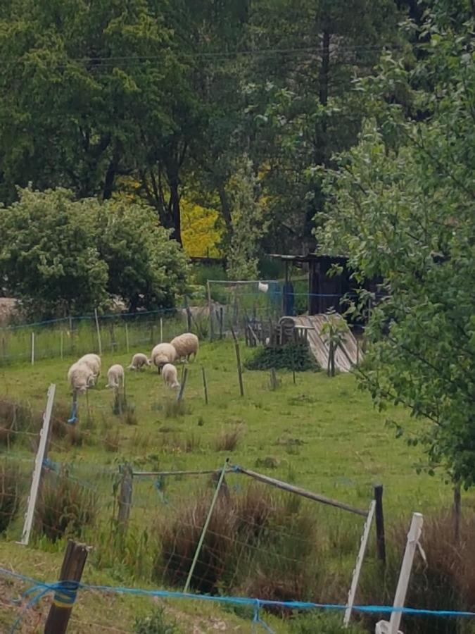 Gîte à la Source Breitenbach Esterno foto